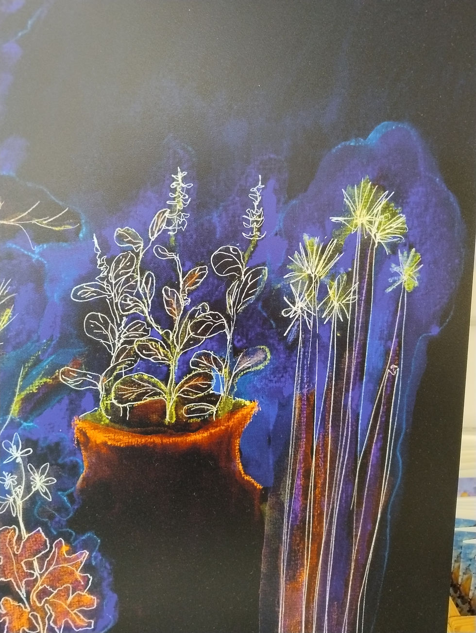 Thumbnail: Nachttuin 1 van 5