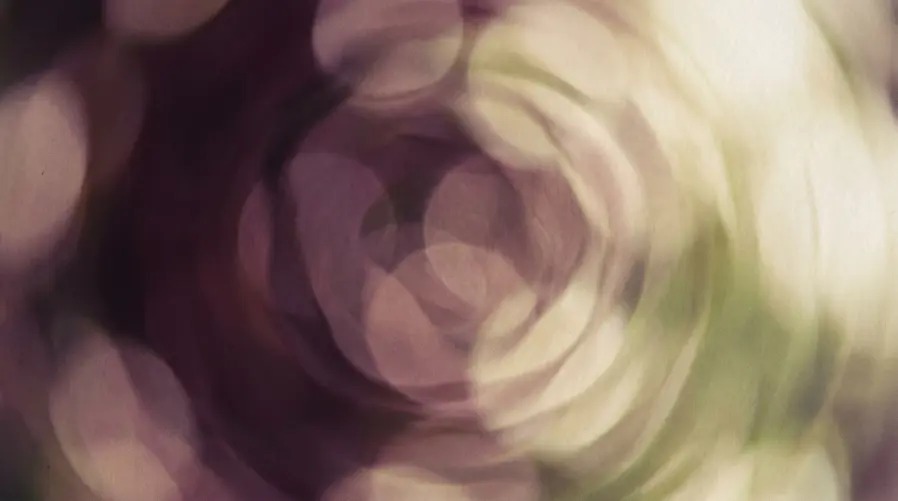 training_hero_abstract-oMARmayUJ3a2yAXPaMEho4.png