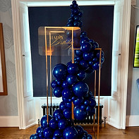 duo gold plinth display 