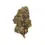 Miniature : AK-47 – Fleur CBD -Green-House 1G - LE GROSSISTE DU CBD