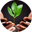 Mask Group (6).png