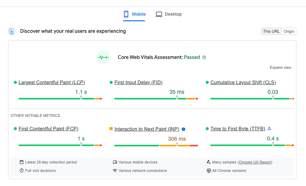 A screenshot of Google PageSpeed Insights Results