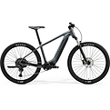 Ebike rent