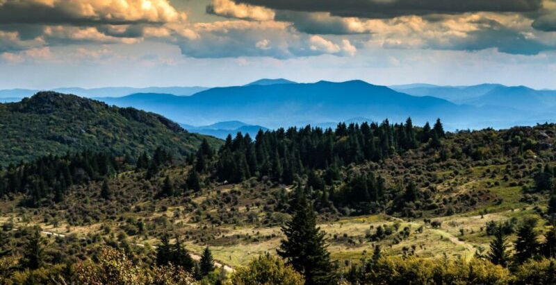GRAYSON COUNTY