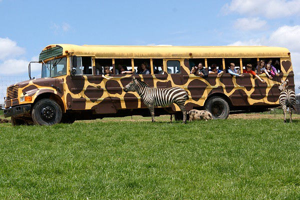 FORT CHISWELL ANIMAL PARK