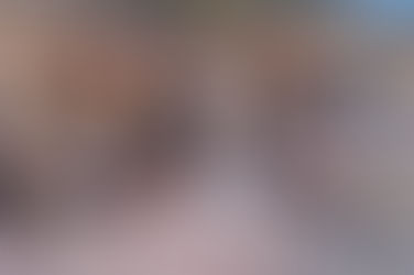 Lomitos en situación de calle en el Estado de México