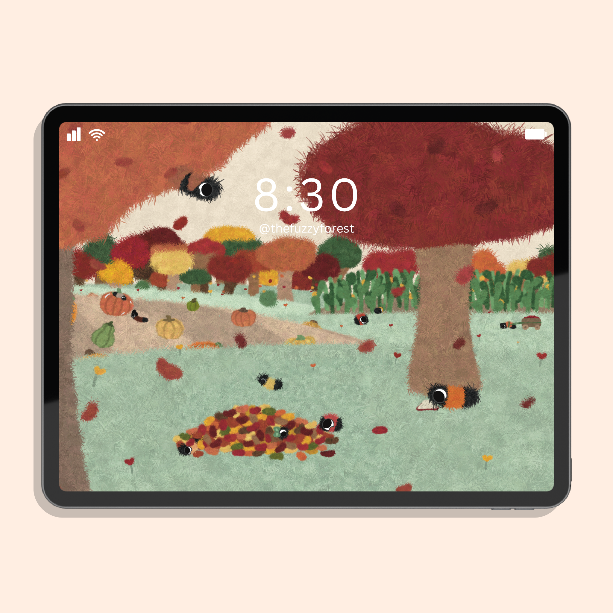 A Fuzzy Day in Fall - Desktop/Tablet Wallpaper