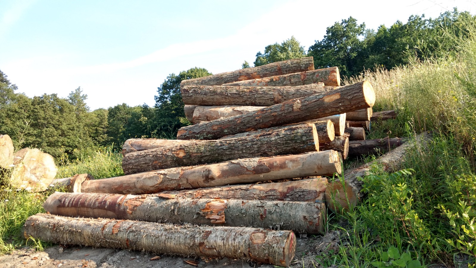 Brookside Lumber Inc Sawmill New York