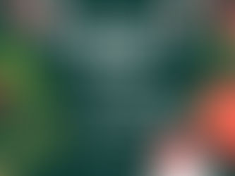 Marché de Noël le 29/11/2025