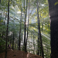 Ten Years of Labor Day Weekend Camping