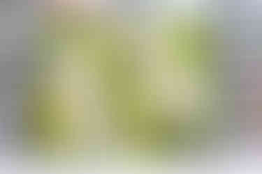 A Good Friend is a Gift | Perfectly Pears Bundle Card