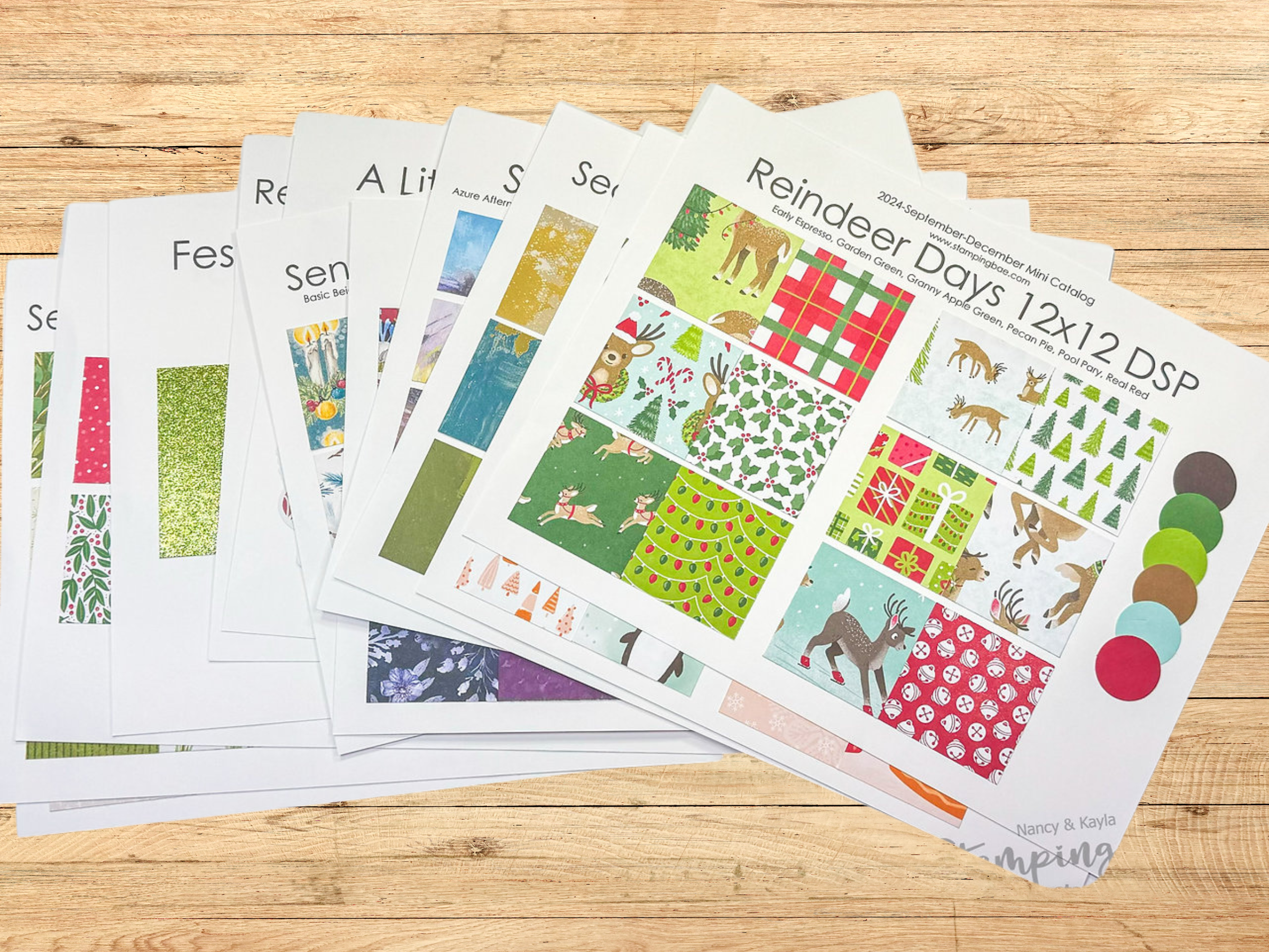 2024 September-December Stampin' Up! Mini Catalog DSP Sampler