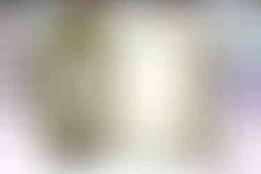 A Fresh Take on a Fun Fold: Friendly Foliage + Brushed with Beauty Designer Series Paper