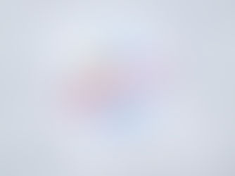 Celebrating Susan's 25th Stampin' Up! Anniversary