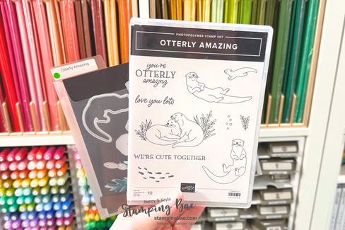 Otterly Amazing MEGA Fun Fold Class To Go: Create Amazing Handmade Cards with Pre-Cut Supplies, Exclusive Tutorials, and More!