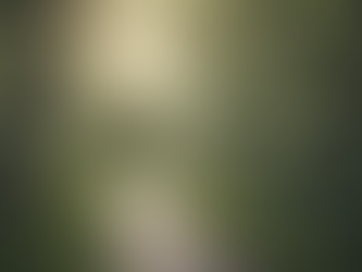 Navigating Life Transitions: Compassionate Counseling for all Ages