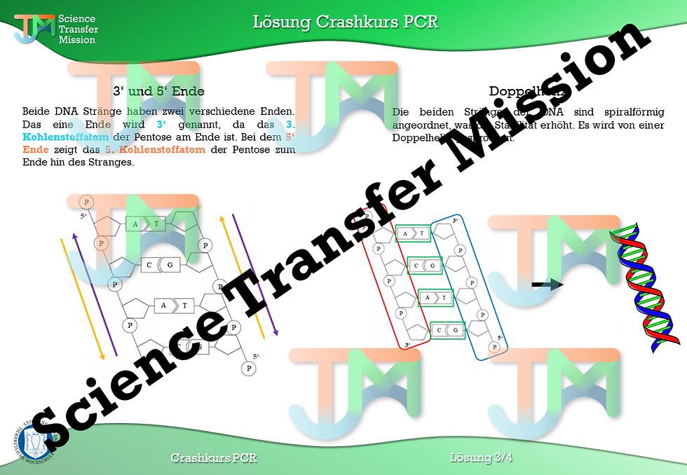 Thumbnail: PCR-Methode, DNA u. Elektrophorese Crashkurs