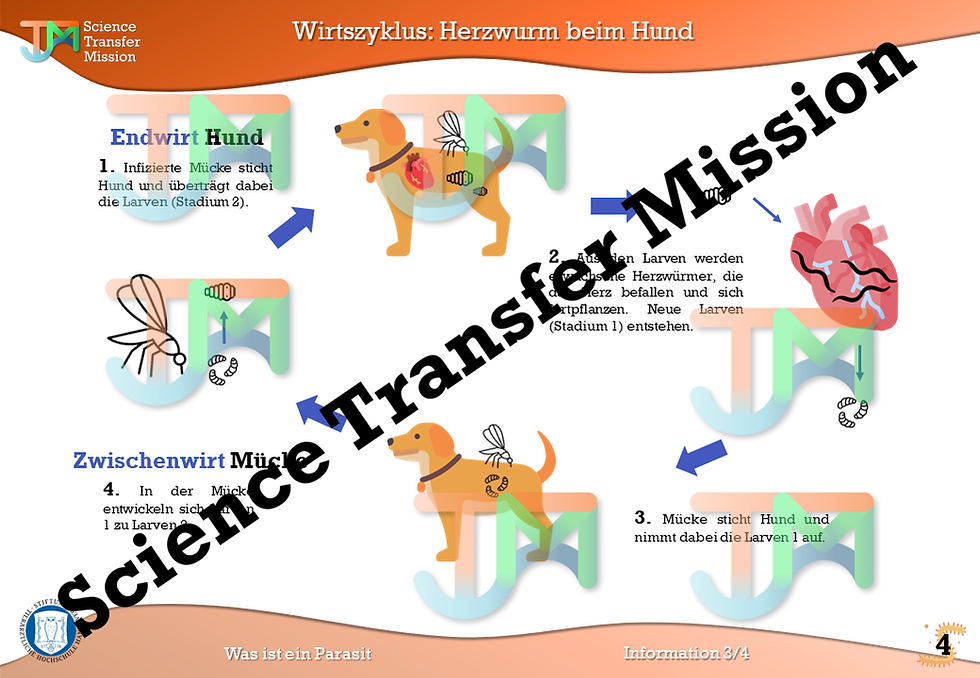 Miniaturbild: KOSTENLOS: Was ist ein Parasit?