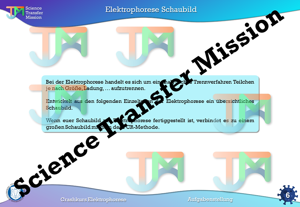 Electrophoresis crash course