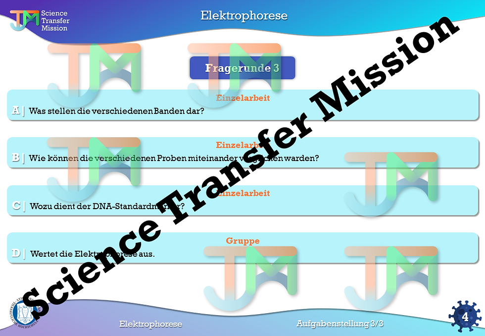 Miniaturbild: Crashkurs + Elektrophorese (dig. Experiment)