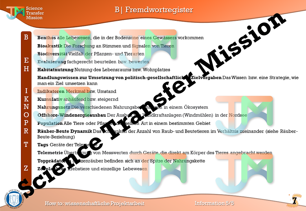 Thumbnail: How to: Scientific project work