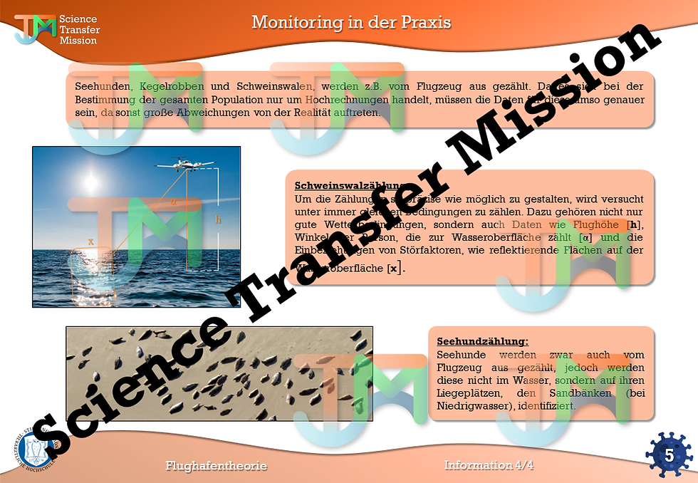 Miniaturbild: Virus Ausbreitungstheorie (Infektionswellen)