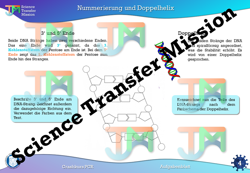 Miniaturbild: PCR-Methode, DNA u. Elektrophorese Crashkurs