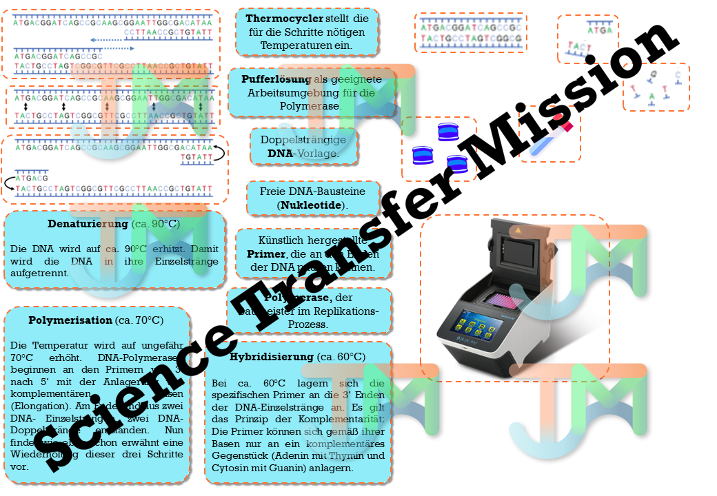 PCR method, DNA and electrophoresis crash course