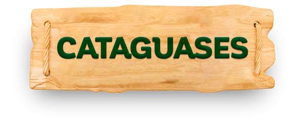 Cataguases.png