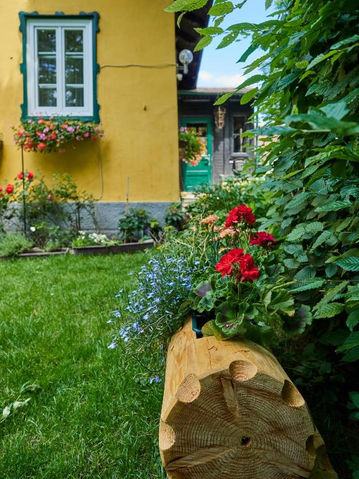 Blumen bei Ferienhaus Krieglach im Bezirk Bruck-Mürzzuschlag