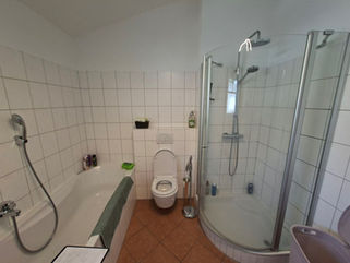 Badezimmersanierung 1 vorher