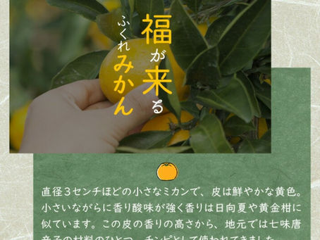 福来みかんの話