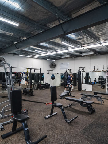 Advanced Gym Equipment for a Full-Body Workout in Williamstown