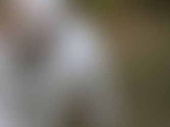 Why be choosy about your breeder?