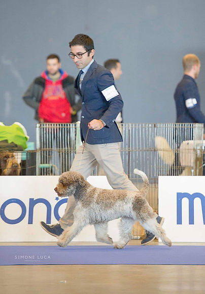 Mocha 3rd in Group in Italy
