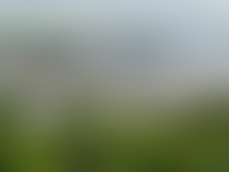 Ditch the Snow: Why Christmas in the Caribbean 2025 is the St. Vincent Holiday Upgrade You Need