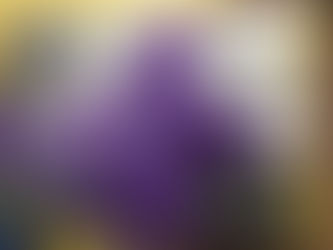 День рождения Деда Мороза