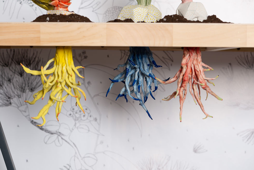 McDiarmid Cultivate Roots