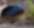 Screenshot 2025-06-05 at 11.13.57 PM.png