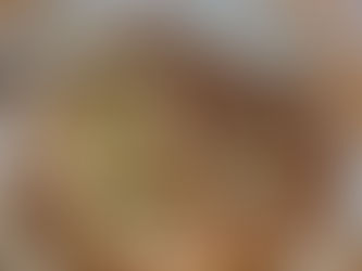 戸籍をとりにさぬき市まで