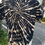 Thumbnail: Skeletal Swirl-XXL