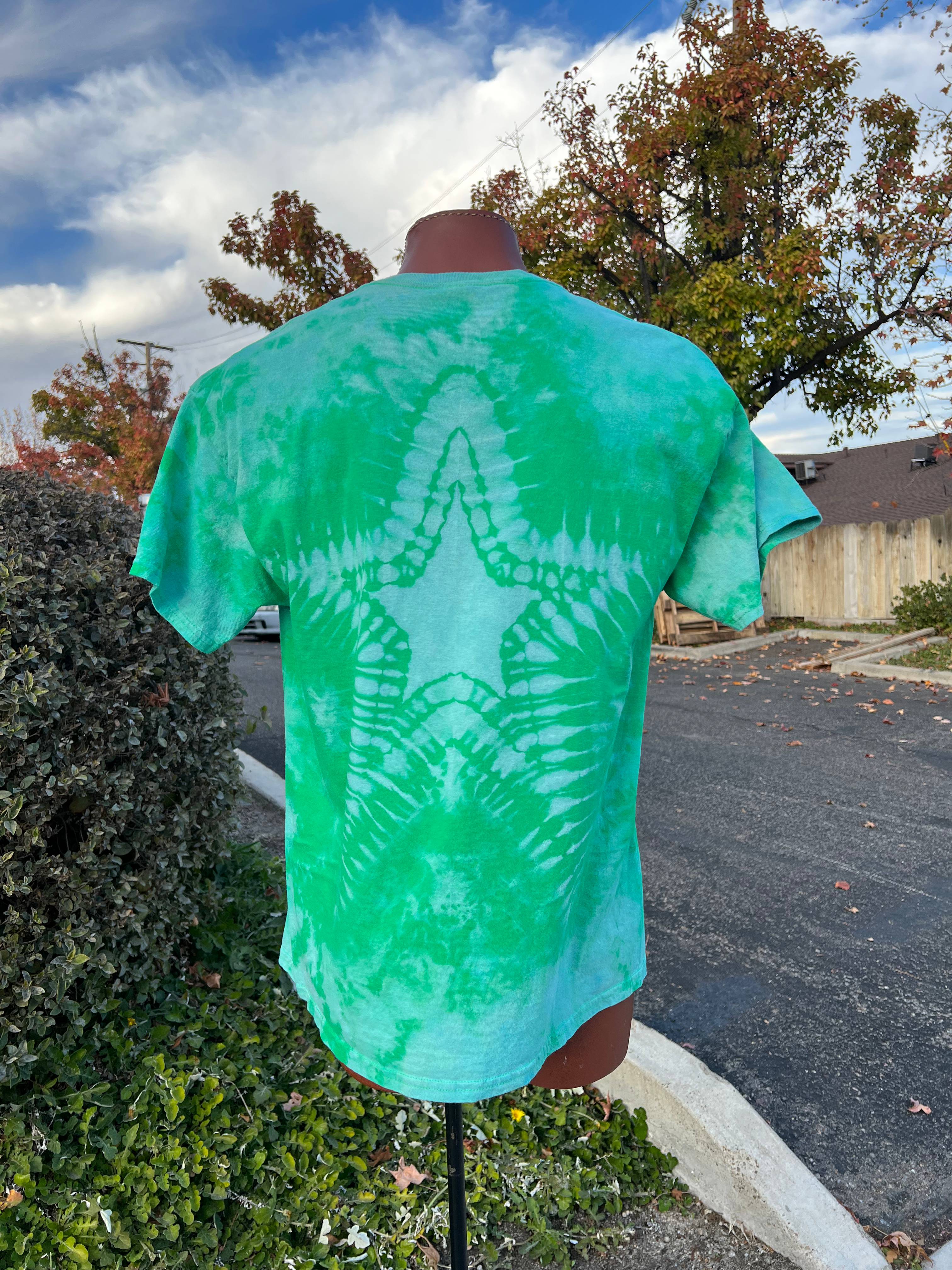 Baby, You're a Star-XL