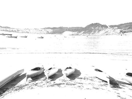 ATOUGUIA DA BALEIA BRILHA EM SÃOMARTINHO DO PORTO