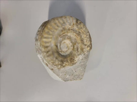 Dia da Ciência - 24 de novembro