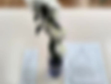 Literacia das Ciências-EB1 de Serra D`El Rei