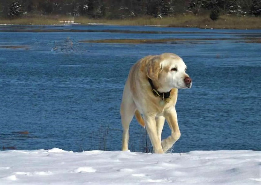 00-K6UJutbRwpS4CsOtHsOaDItYgdxGyCsM9pnAiG_CaYOz9WwhQ56KKcYZiYMWJe-a (2).jpg