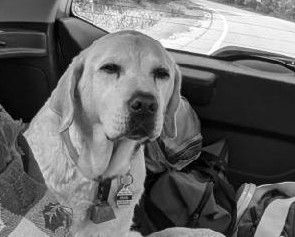 2024 July 19th Pearl 15 and 1 half year old returning from baja adventure trip week at nan