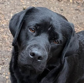 2025 April 5th Tess 2 yrs old_edited.jpg