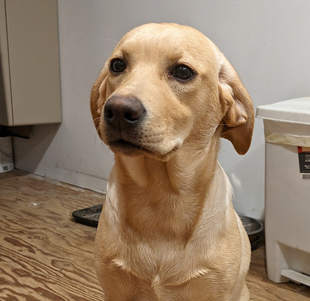 2023 Dec 22nd Raine 6 month old 3 m.jpg