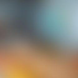 Acoustipics Art improving Acoustics in a Meeting Room